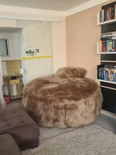 a large furry dog bed in a living room at Hostel AJBJ Turismo in Curitiba