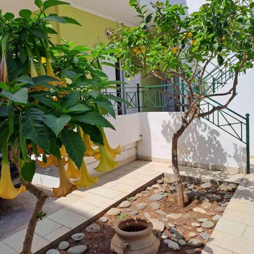 Taman di luar Dimitris place near Athens airport