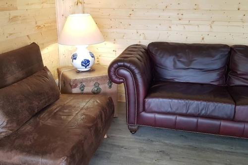 a living room with a couch and a table with a lamp at Chalet avec terrasse face aux Pyrénées in Bartrés