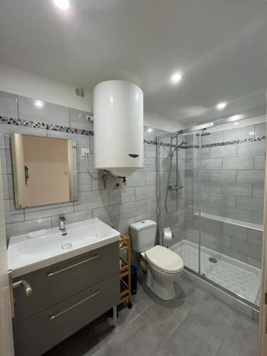 une salle de bain avec un lavabo, des toilettes et une douche dans l'établissement A COLETTA, à Piana