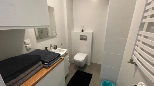 a small bathroom with a sink and a toilet at Apartament nad jeziorem , ZEFIR in Augustów