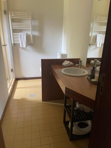 ein Bad mit einem Waschbecken und einem Spiegel in der Unterkunft Casa Catita - Douro in Baião