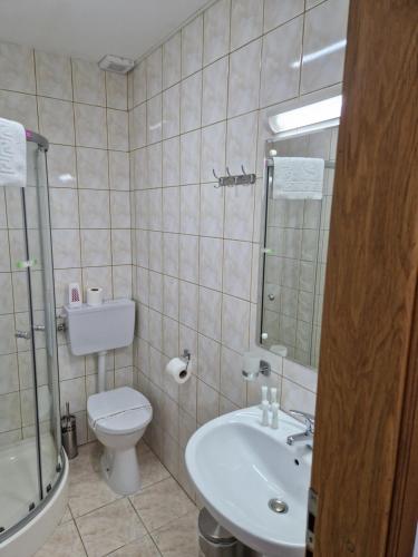 a bathroom with a toilet and a sink and a mirror at ANTIK HOUSE in Cornu de Jos