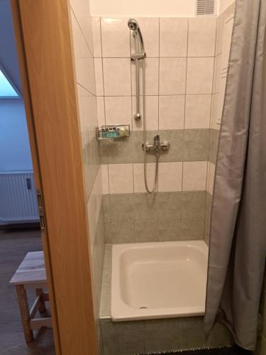 uma casa de banho com um chuveiro e uma banheira em Rózsa Apartman Keszthely em Keszthely