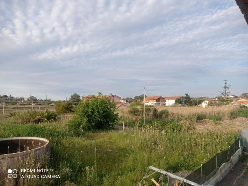 a field of grass with houses in the background at Il Bungalow di Villa Mirko in Vaccarizzo - Delfino