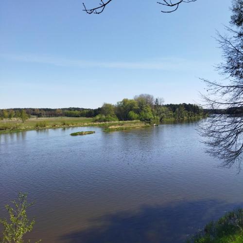 Permandangan sungai dekat dengan penginapan di ladang