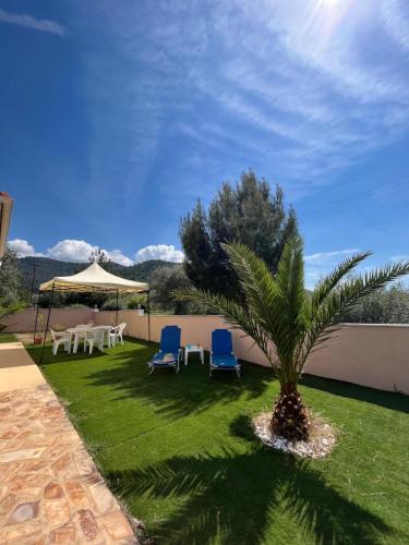 a palm tree in a yard with chairs and an umbrella at Villa Palma in Skala Rachoniou