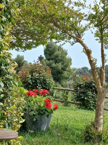 a garden with red flowers and a fence at Kalendes in Kalandra