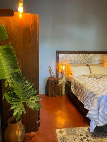 a bedroom with a bed and a potted plant at Casinha do Morro - Centro Histórico in Goiás