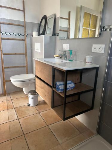 La salle de bains est pourvue d'un lavabo et de toilettes. dans l'établissement Petite maison plein pied jardin, à Soorts-Hossegor