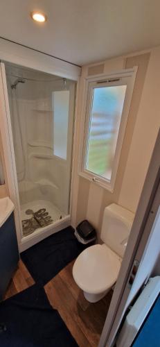 une salle de bain avec toilettes et douche en verre dans l'établissement Mobile home, à Boofzheim