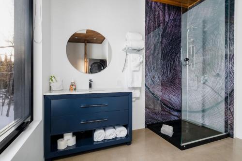 a bathroom with a blue vanity and a shower at Loft Exécutif CherLieu in Saint-Faustin