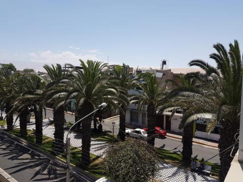Une rangée de palmiers dans une rue de la ville dans l'établissement Queen's Residence VIP, à Tacna