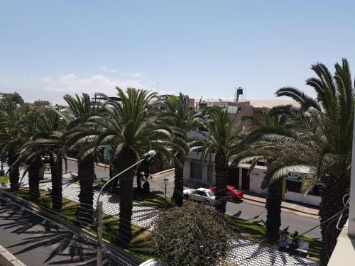 una fila di palme in una strada di città di Queen's Residence VIP a Tacna