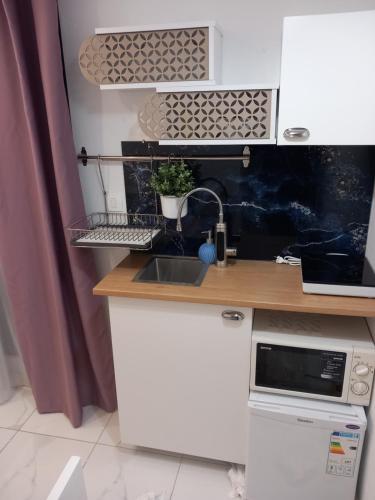 a kitchen with a sink and a counter top at Barko apartment and rooms in Hvar