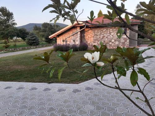 Taman di luar Gorica-Bistrica