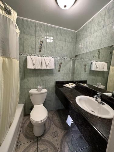 a bathroom with a toilet and a sink at Flamingo Motel Oxnard in Oxnard
