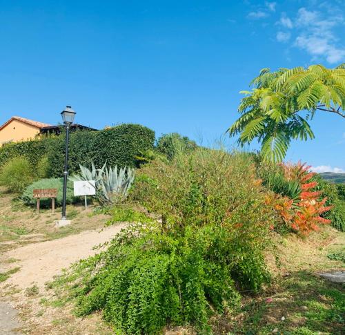 a street light and a palm tree on a hill at Agriturismo Annibale in Tuoro sul Trasimeno