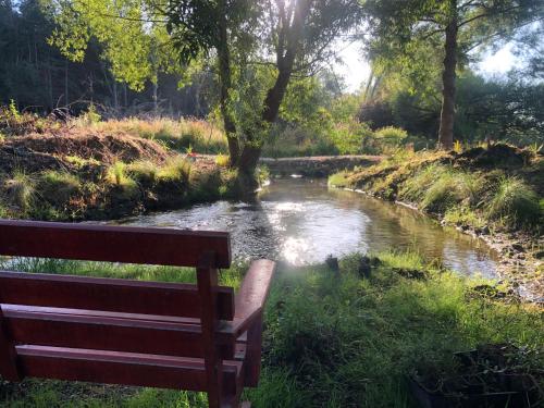 a park bench sitting next to a river with a river istg at Fiery Peak Eco-Retreat with Stargazing & Hot tub in Geraldine