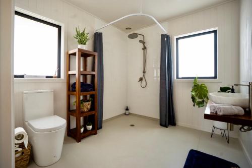 a bathroom with a toilet and a sink and two windows at Fiery Peak Eco-Retreat in Geraldine