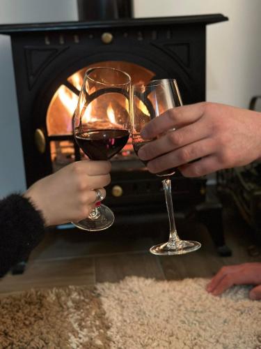two people holding glasses of wine in front of a fireplace at Apartman Emily in Nikšić