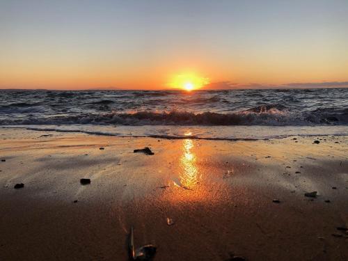 Octopus house 1 min from the beach of Nikiti