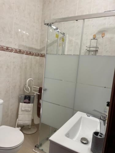 a bathroom with a shower and a toilet and a sink at Guest House “Casa da avó Tina” in Barreiro