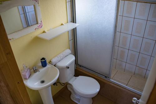 uma casa de banho com um WC, um lavatório e um chuveiro em Agroturismo mapuweñimen em San Fernando