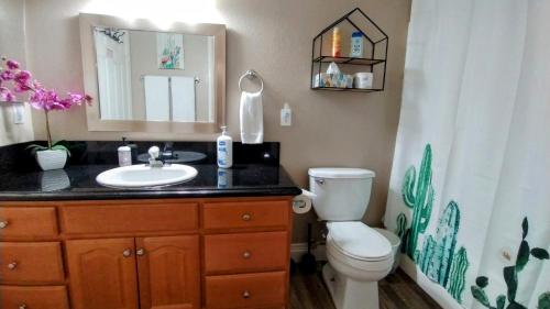 een badkamer met een wastafel, een toilet en een spiegel bij Falcon Cottage in Pahrump