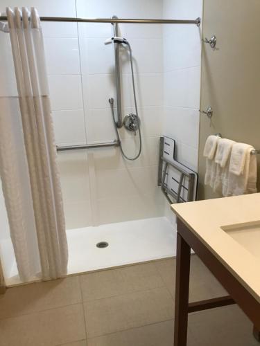 ein Bad mit Dusche und Duschvorhang in der Unterkunft Comfort Suites in Summerville