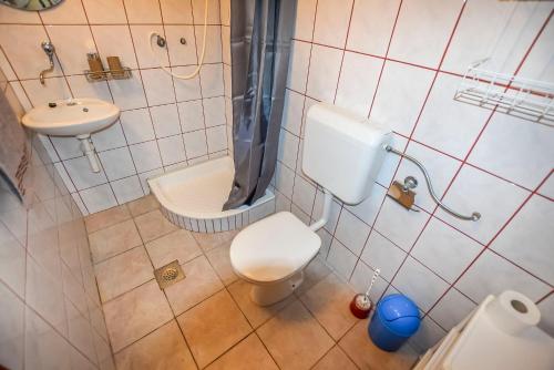 a small bathroom with a toilet and a sink at House Zora in Otok Zizanj
