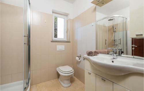 a bathroom with a sink and a toilet and a mirror at Pet Friendly Apartment In Icici With Wifi in Ičići