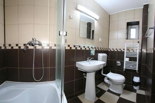 a bathroom with a sink and a toilet and a shower at Pensiunea Zimbrul in Poiana Brasov