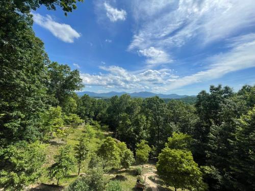 Gallery image of The Great Escape - the ULTIMATE Mountain House in Blairsville