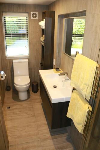 a bathroom with a sink and a toilet and a mirror at STUDIO@746 in Queenstown