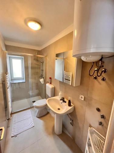 La salle de bains est pourvue d'un lavabo, de toilettes et d'une douche. dans l'établissement Pet friendly Apartments Licul, à Rabac