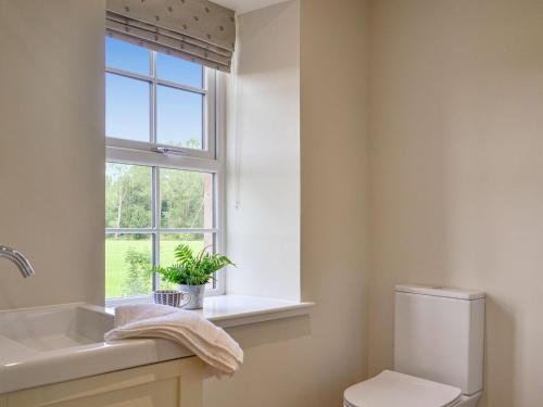 a bathroom with a sink and a toilet and a window at Kingfisher Cottage in Kirkton of Airlie