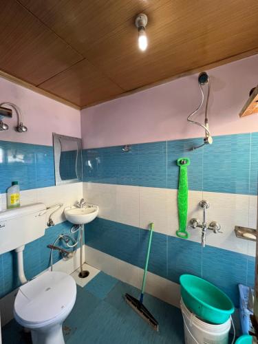 a bathroom with a toilet and a sink at Napishu Summer Home in Leh