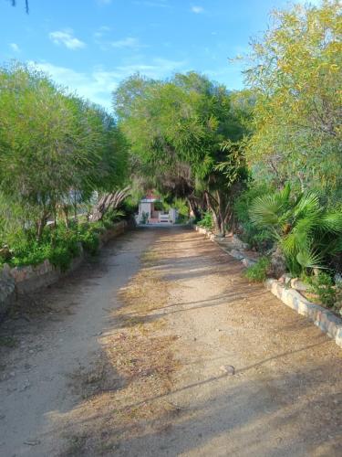 an empty road with trees on both sides at Vacanze a Solanas con Clima CUP1863 in Solanas