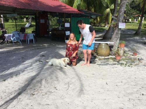 mężczyzna i kobieta i pies na plaży w obiekcie Wild Pasir Panjang w mieście Kuah