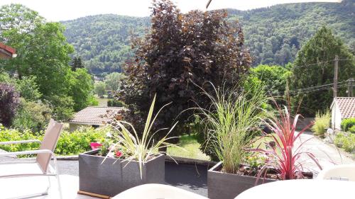 a garden with plants in pots on a patio at Bordl'o in Aurec-sur-Loire