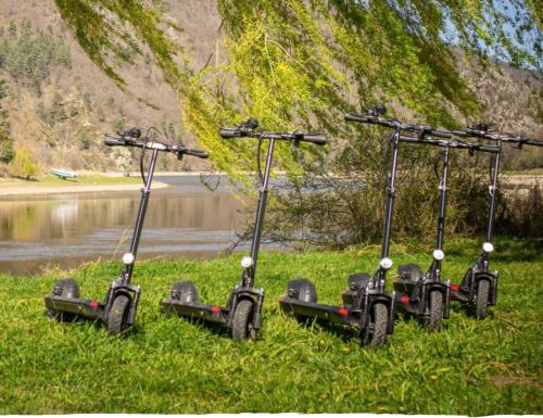three lawn mowers sitting in the grass near a body of water at Bordl'o in Aurec-sur-Loire