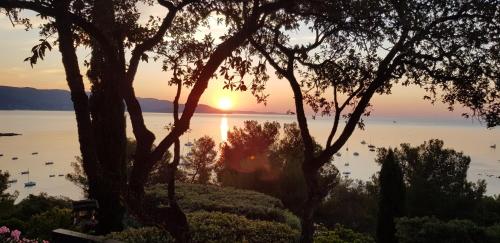 a sunset over the water with trees and boats at L'Odyssée provençale, un duplex de charme de 2 chambres au pied du village médiéval de Bormes-les-Mimosas, offrant des prestations haut de gamme et une superbe vue sur le Massif des Maures in Bormes-les-Mimosas