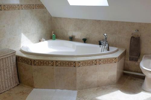a large tub in a bathroom with a toilet at Cae Coryn Cottages, Snowdonia ( Troed y Graig ) in Bala
