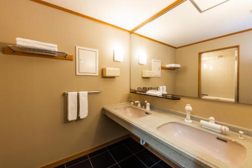 a bathroom with a sink and a mirror at 銚子グランドホテル in Choshi