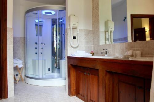 a bathroom with a shower and a sink at Casale del fattore in Cesena