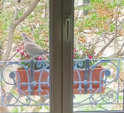 Balkon lub taras w obiekcie A deux pas d'Avignon