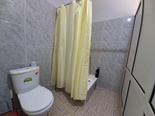 a bathroom with a toilet and a shower at Rassom Hostel in Samarkand