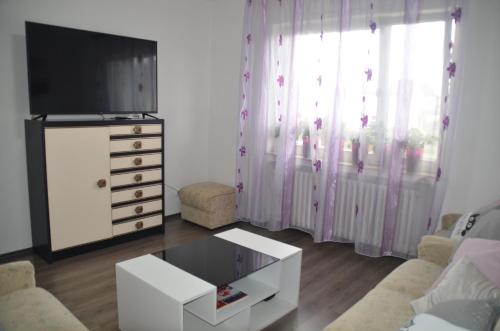 Fewo Magnolie في إشفيغه: غرفة معيشة مع تلفزيون وطاولة قهوة