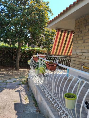 una panchina bianca seduta accanto a una casa di Casa vacanze GATTO MATTO due a Manziana